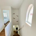 Apartment The Bird House