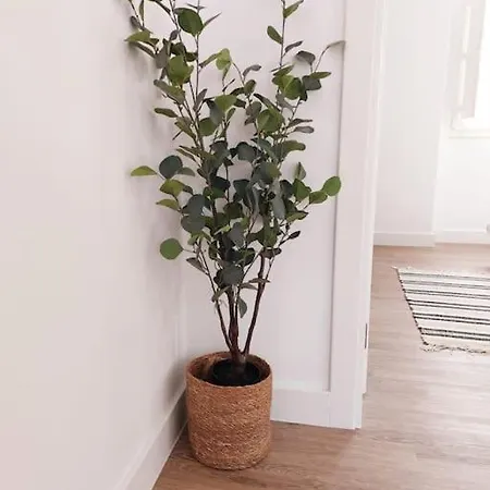 The Bird House Nazaré